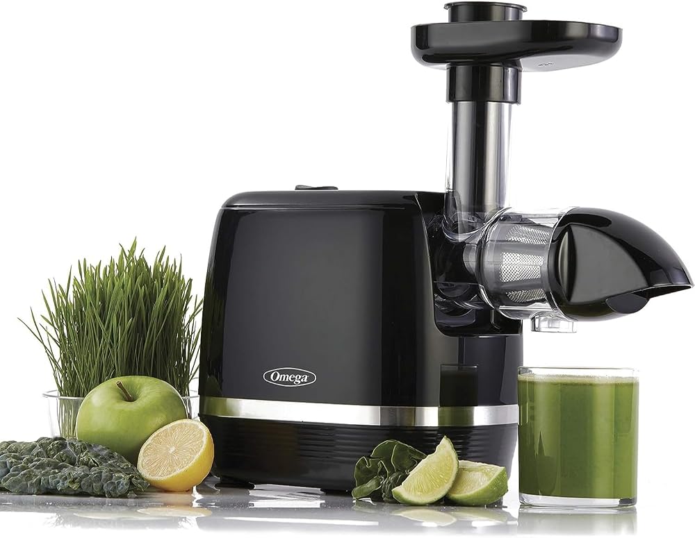 Omega Cold Press 365 H3000R slow juicer in black